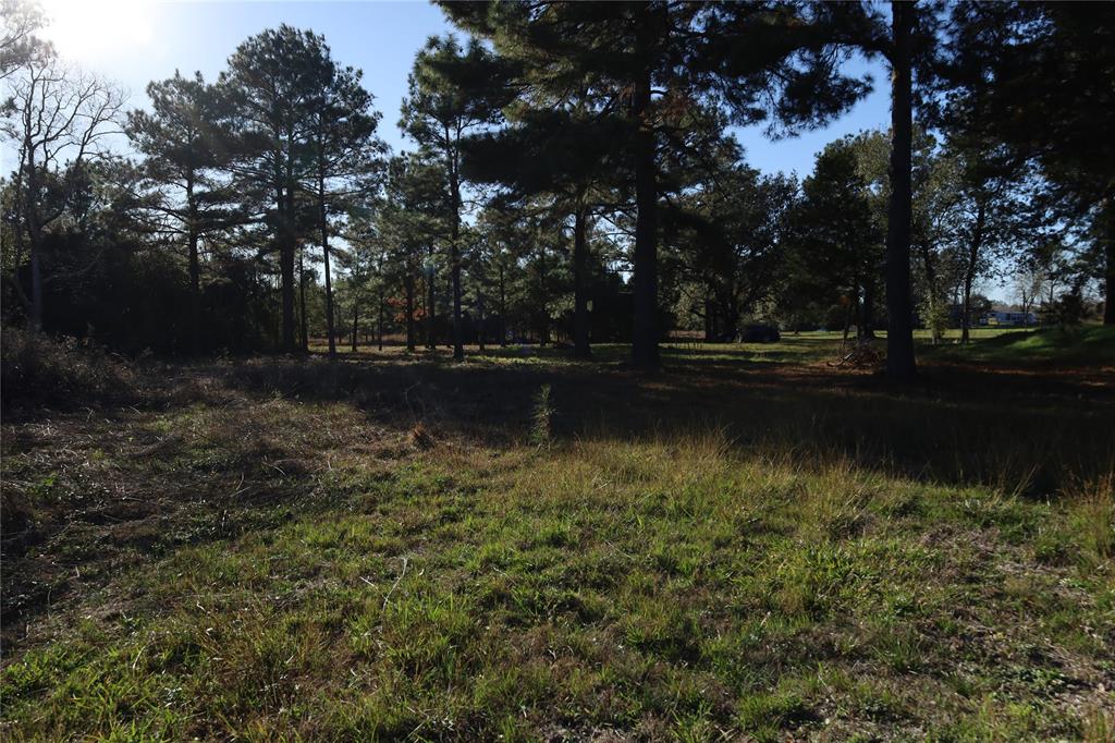 20792 Pearl Street, Prairie View, Texas image 8