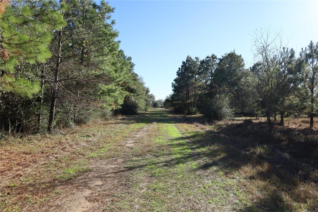 20792 Pearl Street, Prairie View, Texas image 3