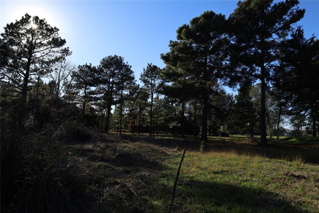 20792 Pearl Street, Prairie View, Texas image 7