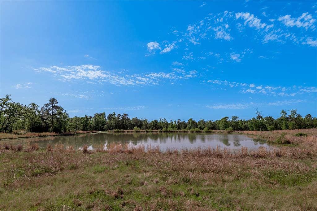 352 Obannon Ranch Road, Huntsville, Texas image 26