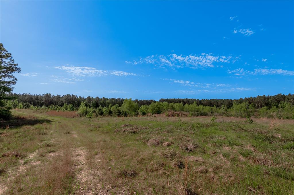 352 Obannon Ranch Road, Huntsville, Texas image 42