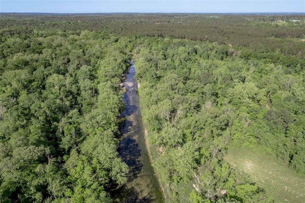 352 Obannon Ranch Road, Huntsville, Texas image 36