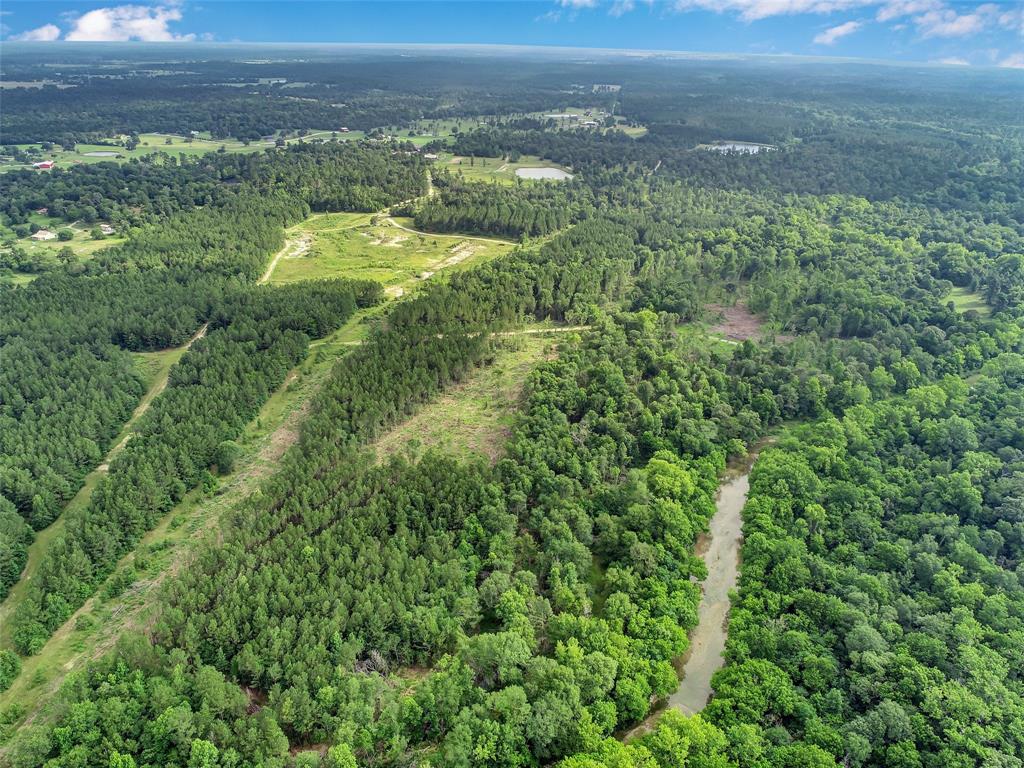 352 Obannon Ranch Road, Huntsville, Texas image 34