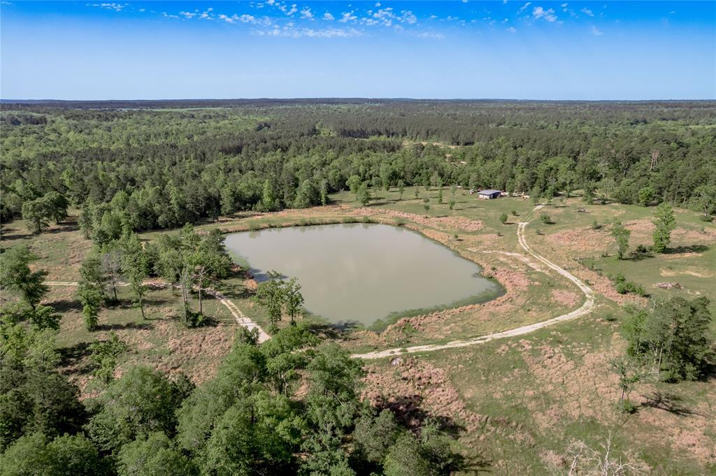 352 Obannon Ranch Road, Huntsville, Texas image 6