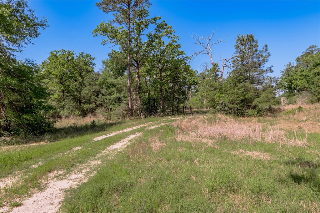 352 Obannon Ranch Road, Huntsville, Texas image 39