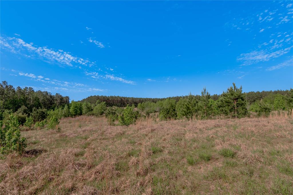 352 Obannon Ranch Road, Huntsville, Texas image 23