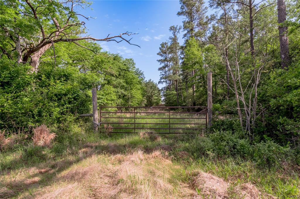 352 Obannon Ranch Road, Huntsville, Texas image 14