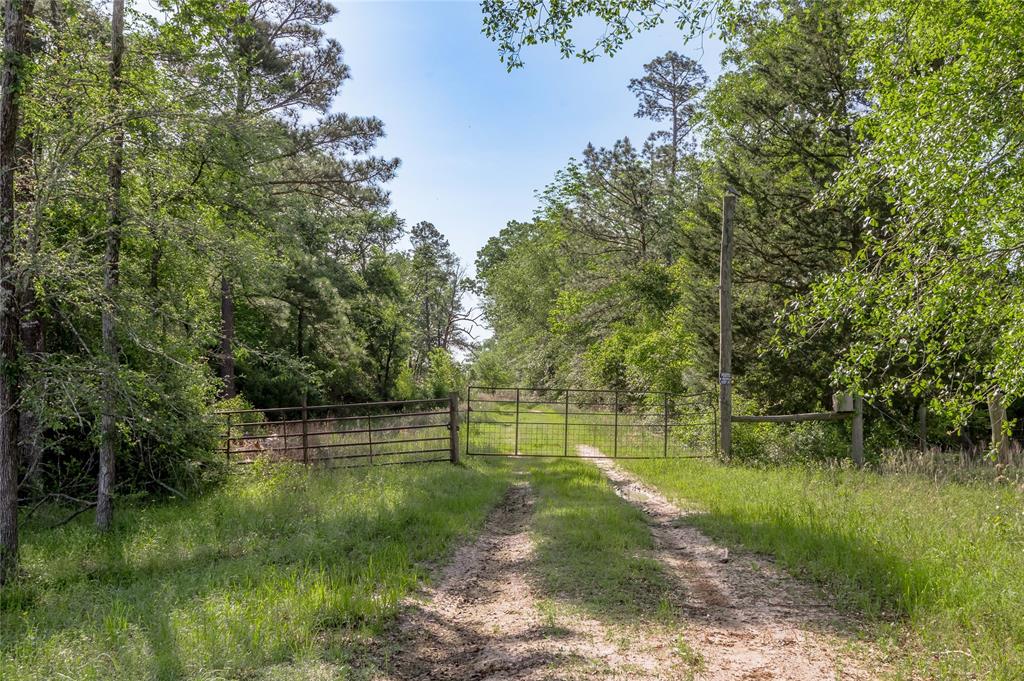 352 Obannon Ranch Road, Huntsville, Texas image 13