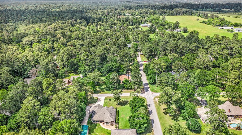 24919 Silver Leaf Street, Magnolia, Texas image 28