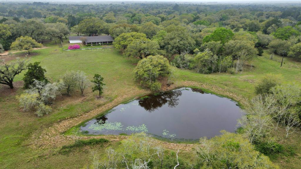 1878 Bostik, Cat Spring, Texas image 5