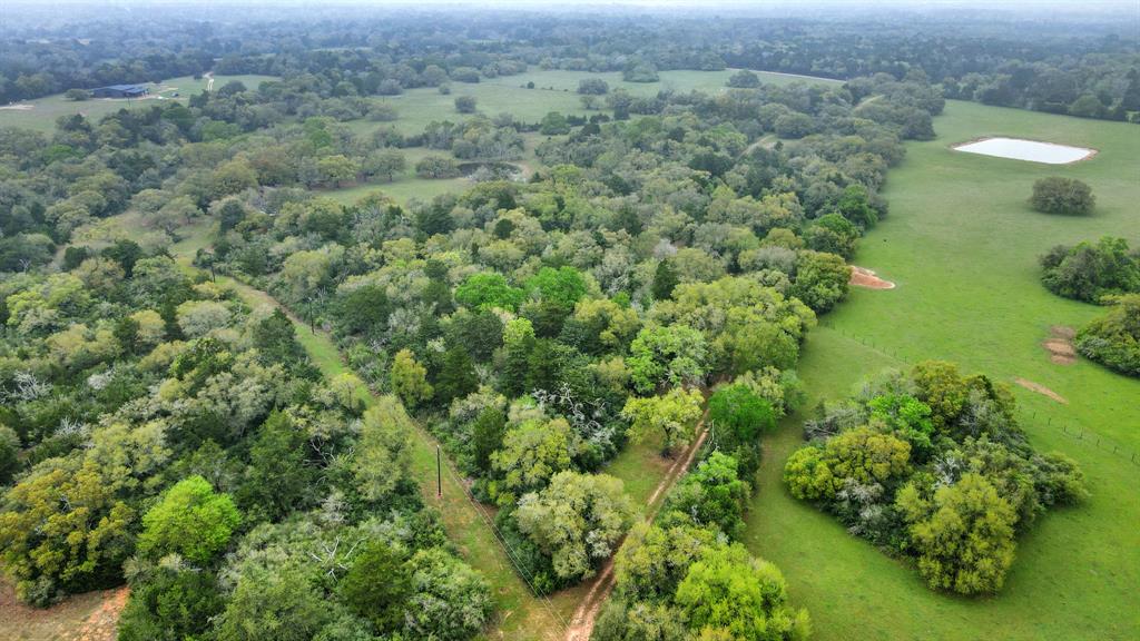 1878 Bostik, Cat Spring, Texas image 19