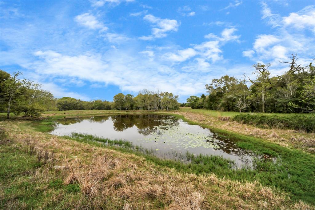 1878 Bostik, Cat Spring, Texas image 6
