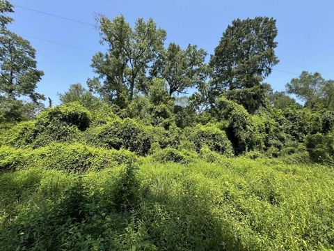 Photo of 1891 Sample Drive, Woodville, TX 75979 (MLS # 82483010)