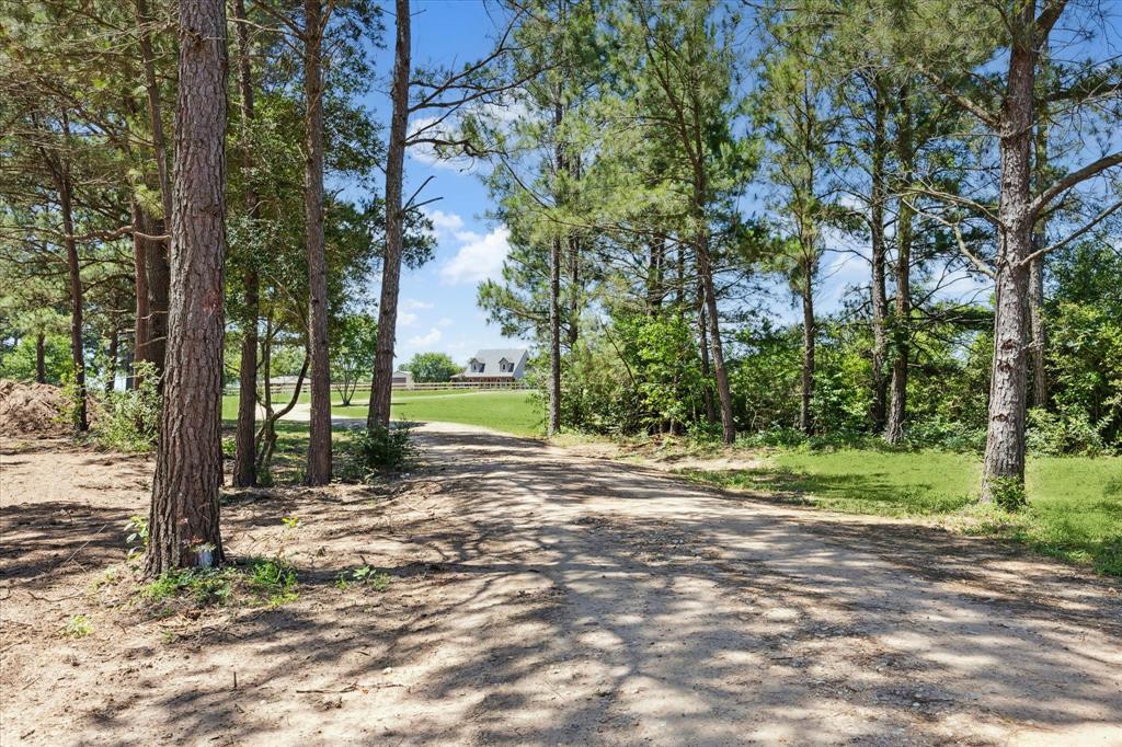 6063 Fm 1094, Sealy, Texas image 1