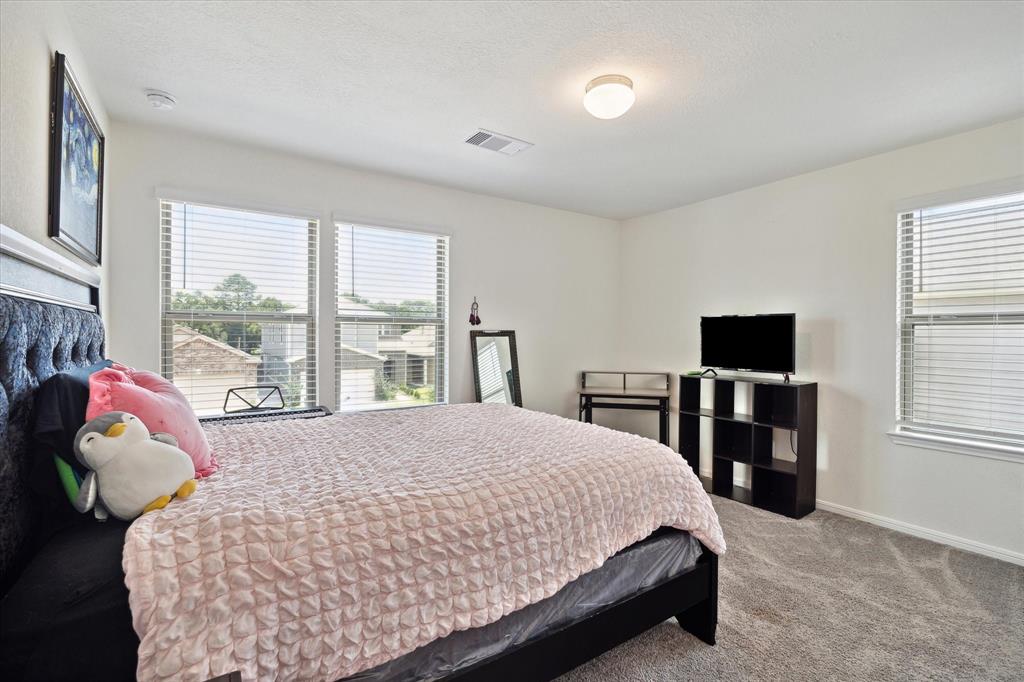 17303 Rock Willow Lane, Tomball, Texas image 14