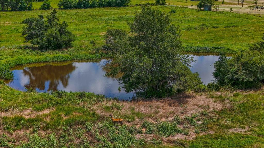 9239 Fm 1696, Bedias, Texas image 15
