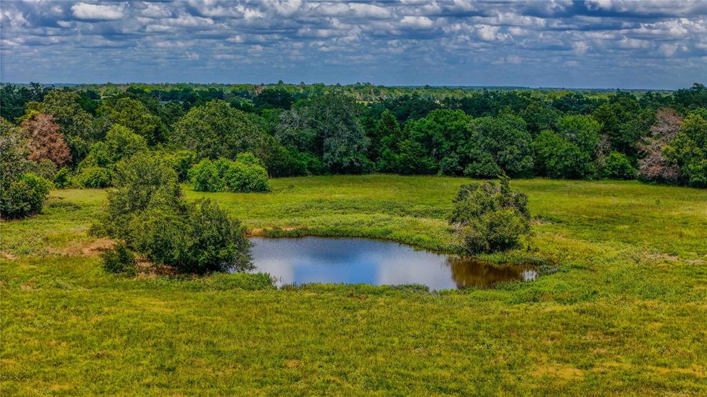 9239 Fm 1696, Bedias, Texas image 17