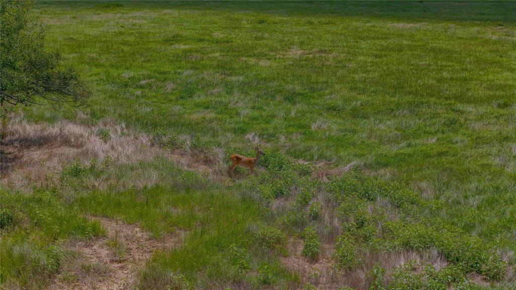 9239 Fm 1696, Bedias, Texas image 13