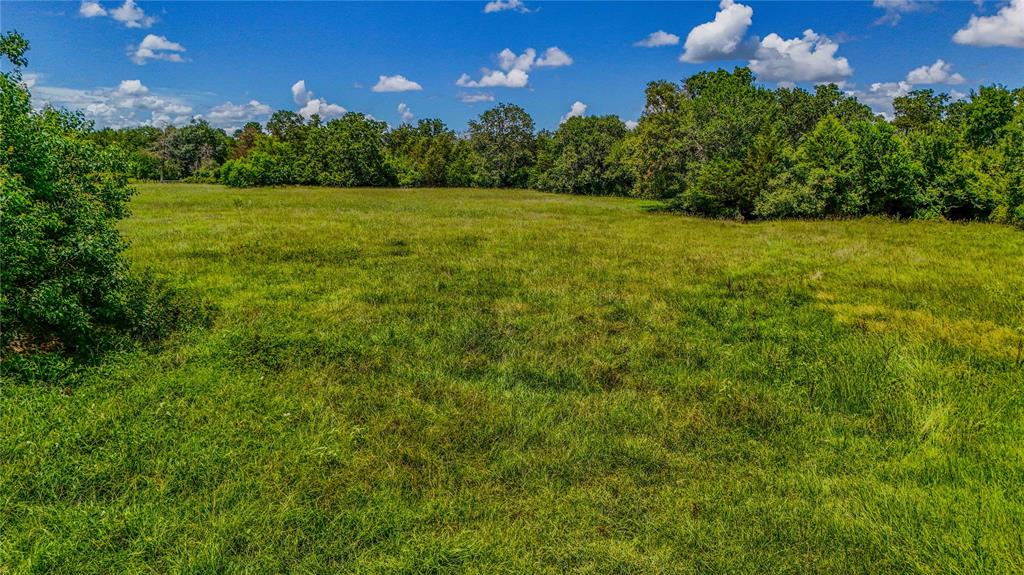 9239 Fm 1696, Bedias, Texas image 24