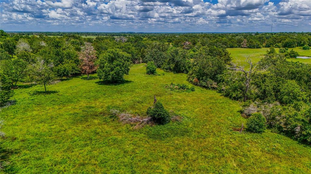 9239 Fm 1696, Bedias, Texas image 7