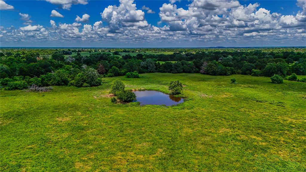 9239 Fm 1696, Bedias, Texas image 16