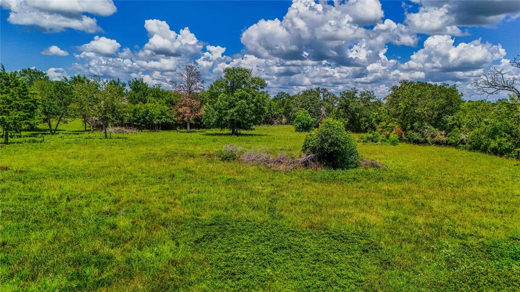 9239 Fm 1696, Bedias, Texas image 8
