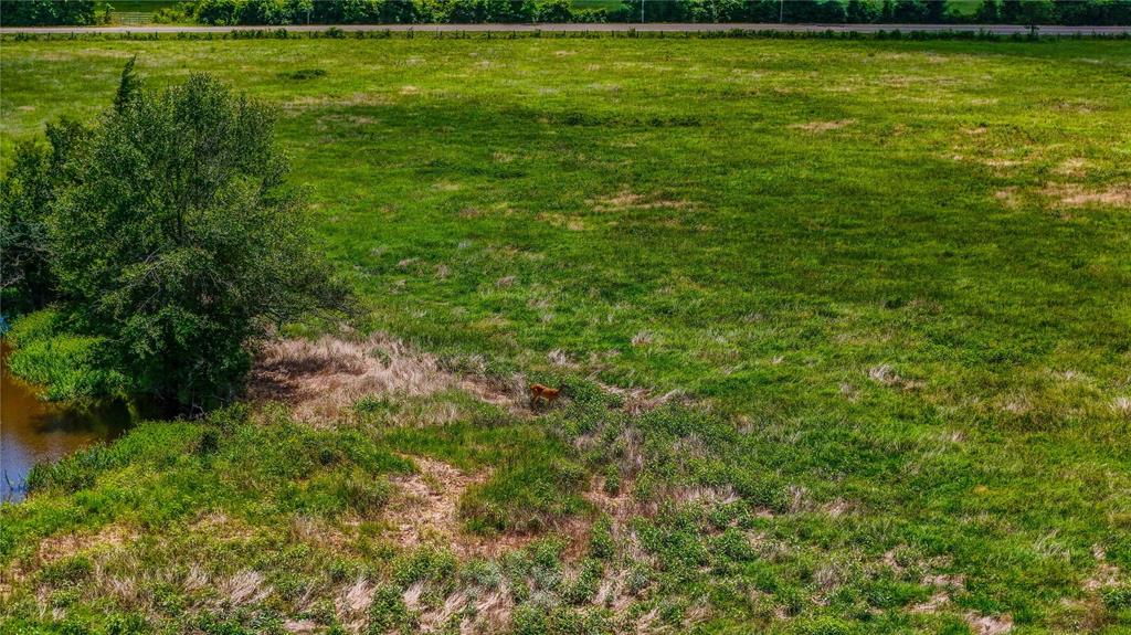 9239 Fm 1696, Bedias, Texas image 12