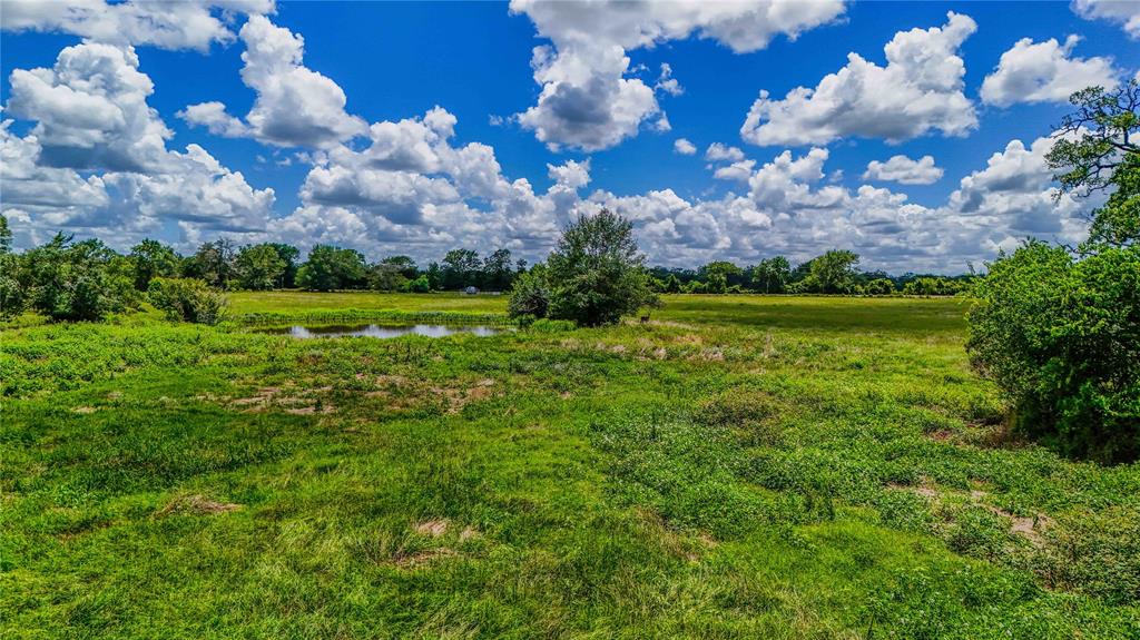 9239 Fm 1696, Bedias, Texas image 11