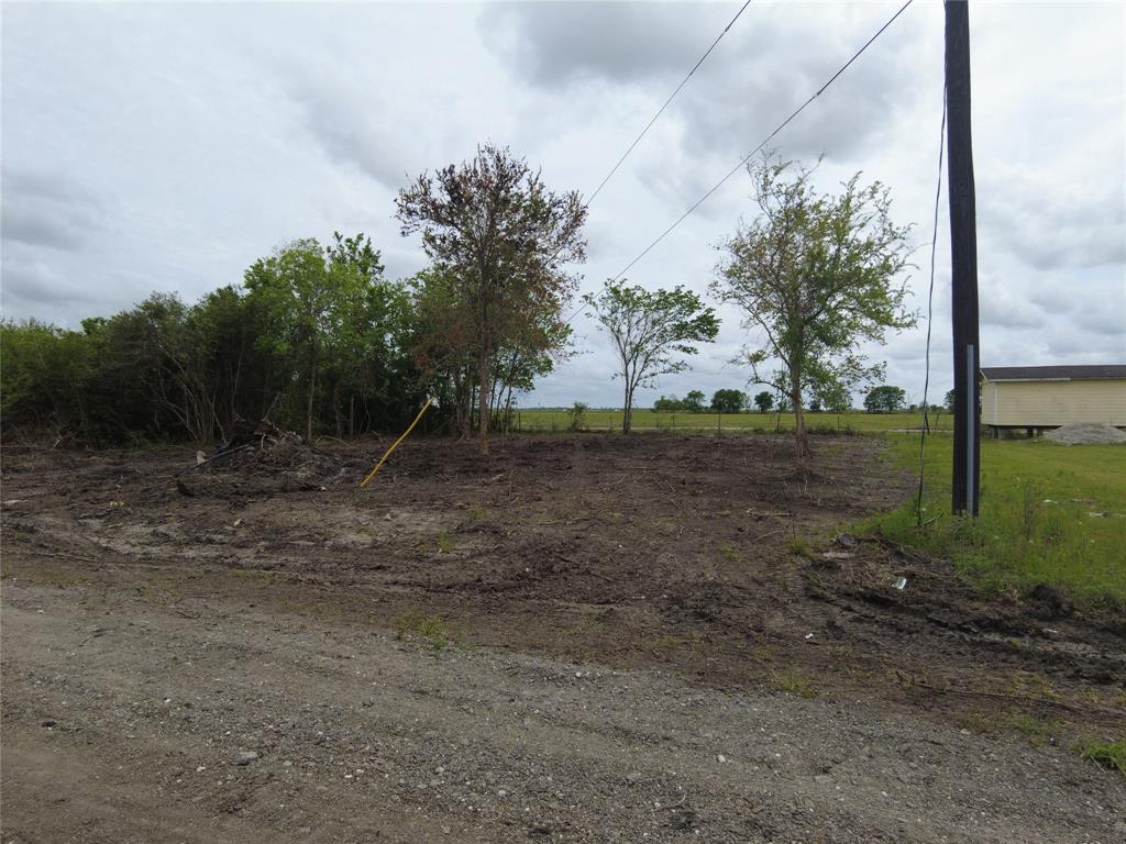 00 Lot 24 Bijou Rue, Rosharon, Texas image 3