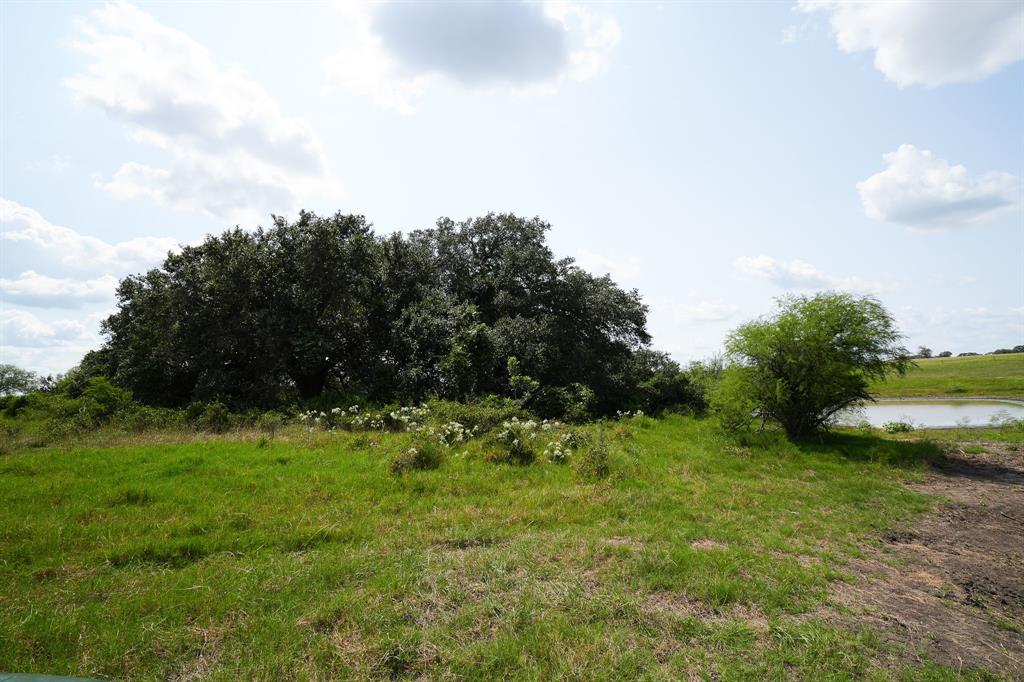 1162 County Road 234b, Schulenburg, Texas image 29