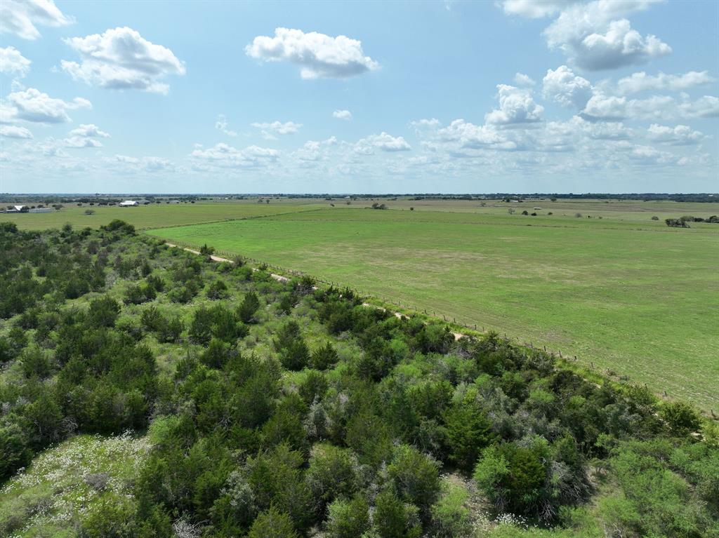 1162 County Road 234b, Schulenburg, Texas image 4