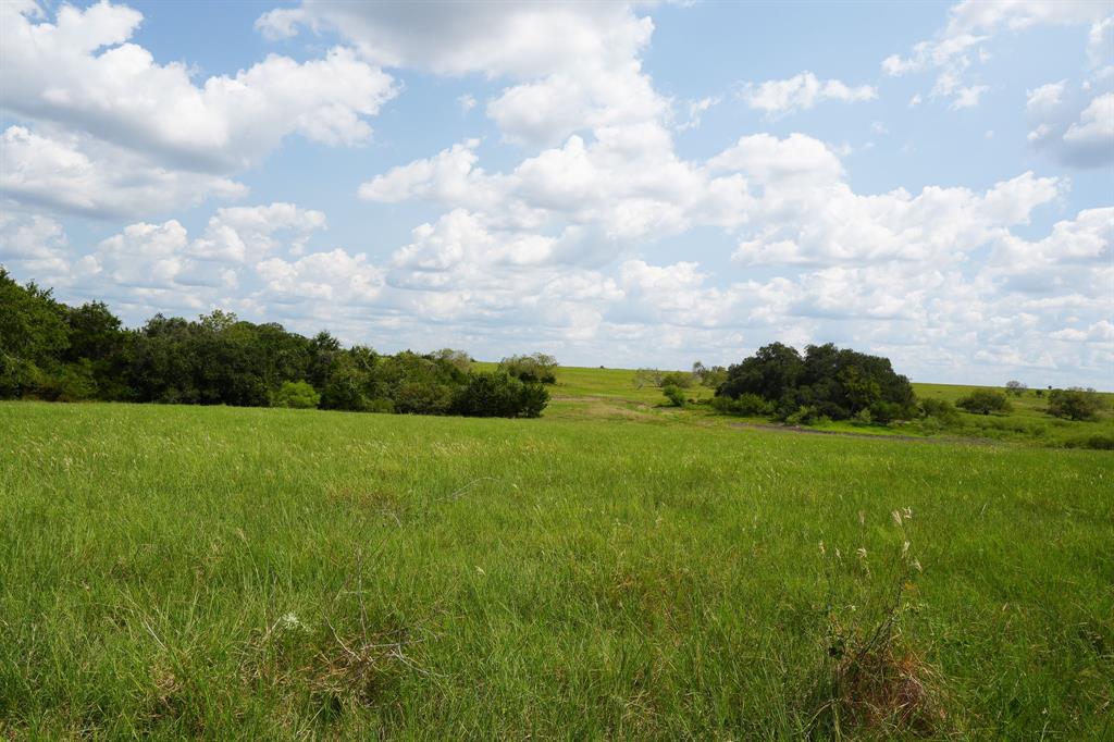 1162 County Road 234b, Schulenburg, Texas image 32