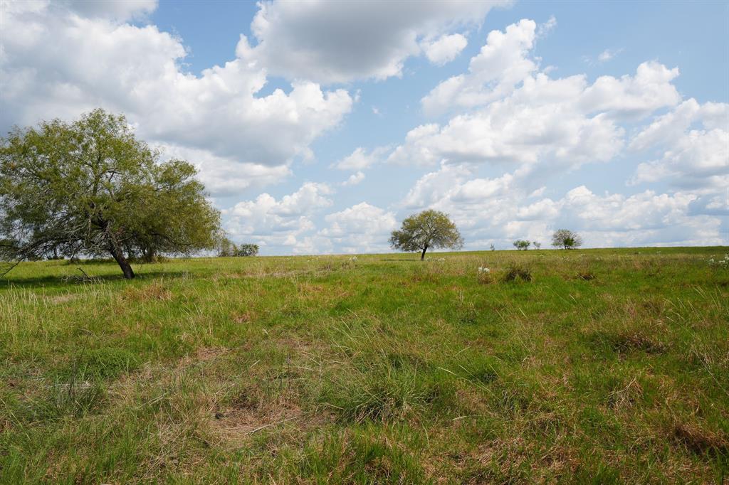 1162 County Road 234b, Schulenburg, Texas image 34