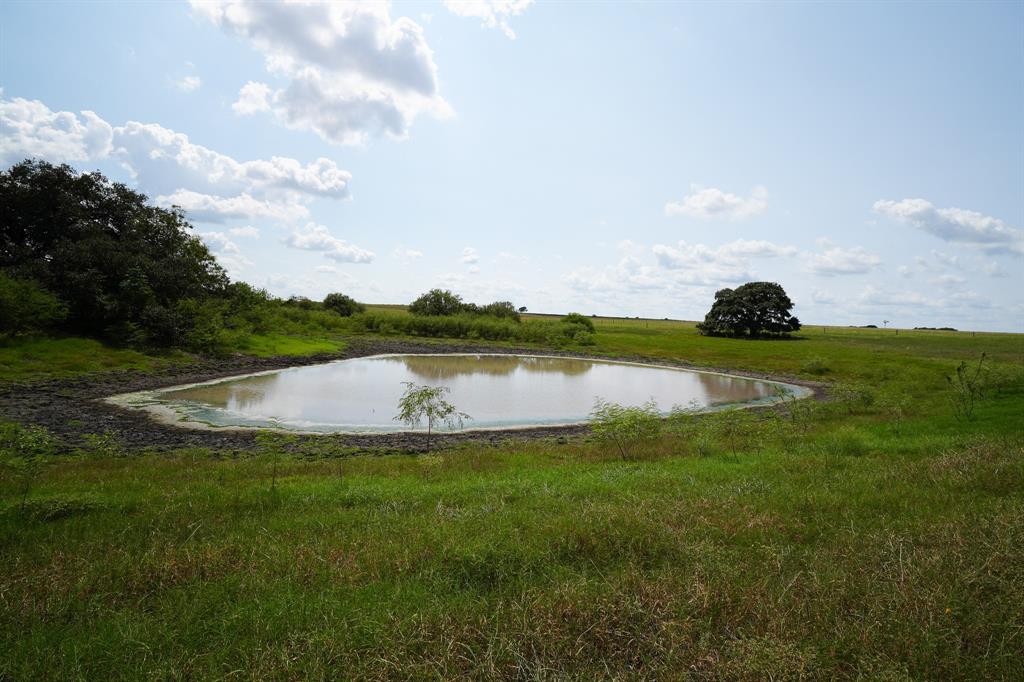 1162 County Road 234b, Schulenburg, Texas image 30