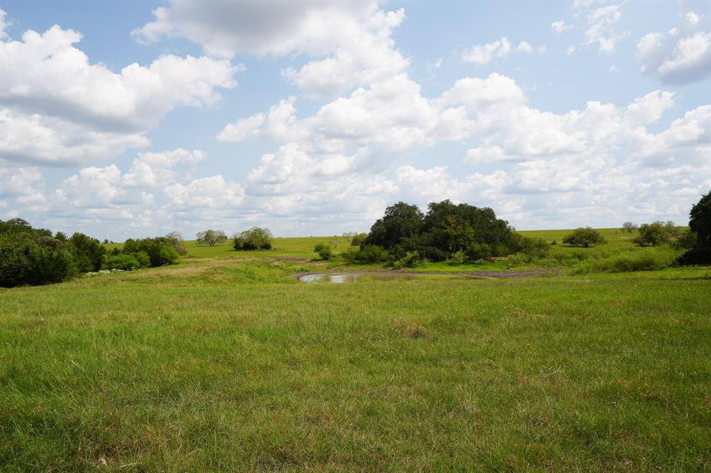 1162 County Road 234b, Schulenburg, Texas image 33