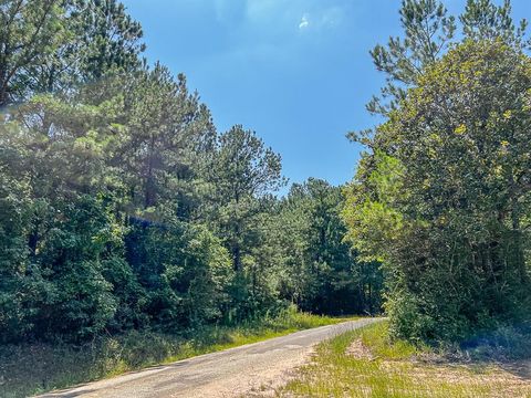 Vacant Land For Sale - 0000 Cr 366/cr 368<br/> Zavalla, TX 75980