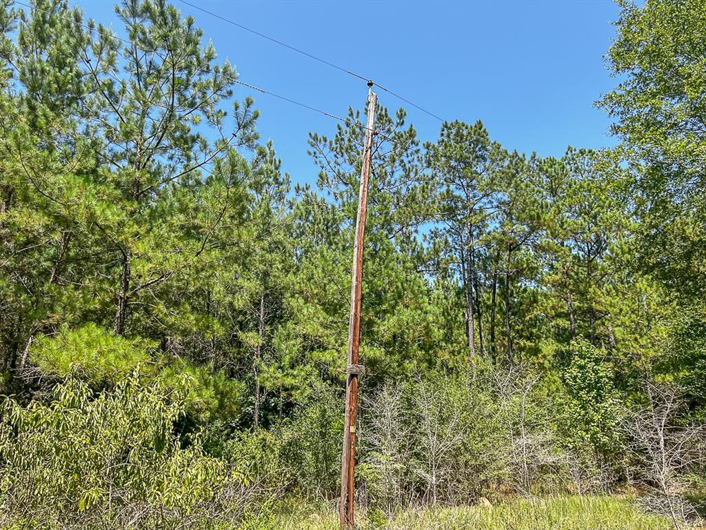 0000 Cr 366/cr 368, Zavalla, Texas image 9