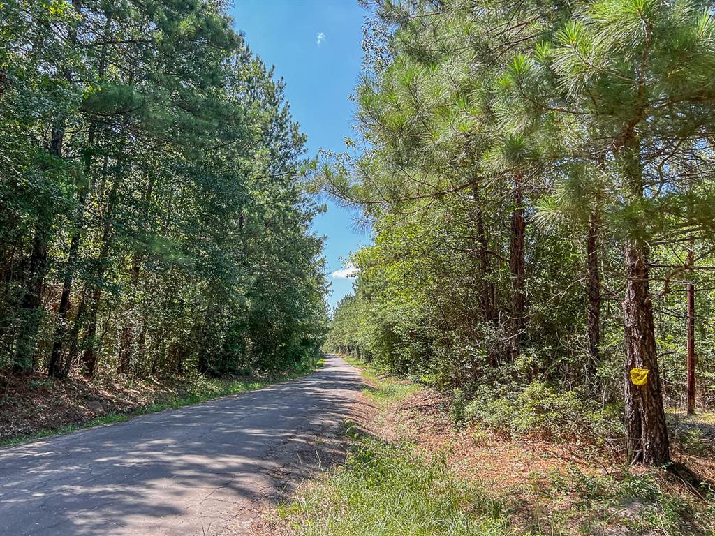 0000 Cr 366/cr 368, Zavalla, Texas image 3