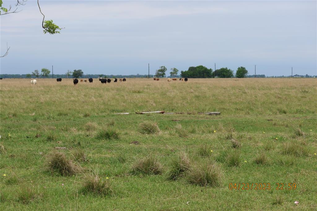 Photo 8 of 29 of 2427 County Road 126 land