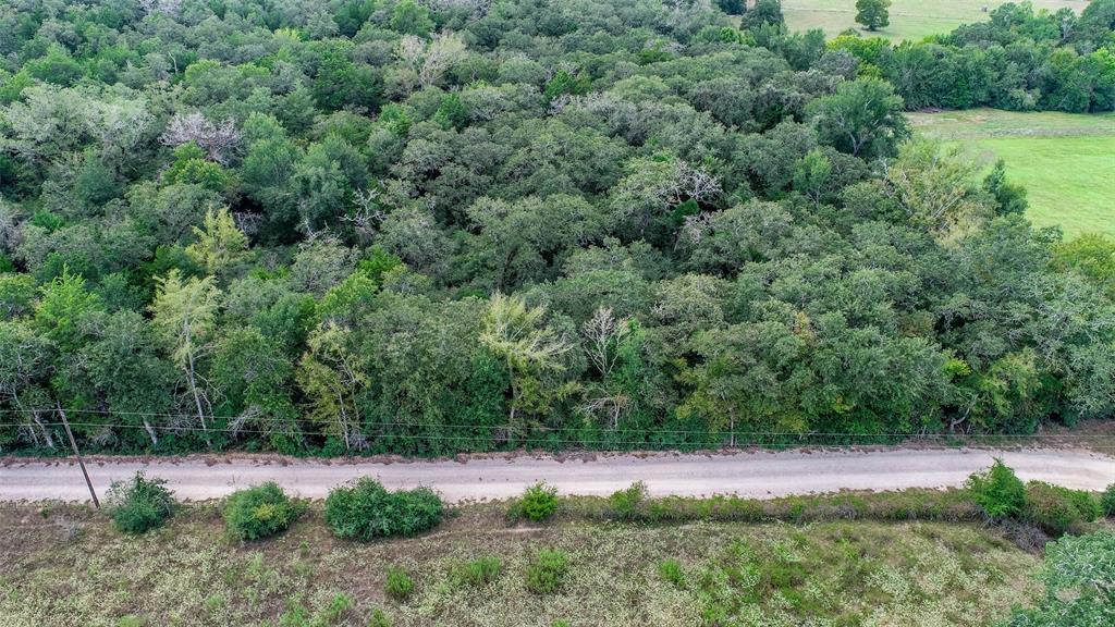 TBD County Road 309, Caldwell, Texas image 9