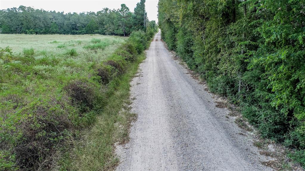 TBD County Road 309, Caldwell, Texas image 11