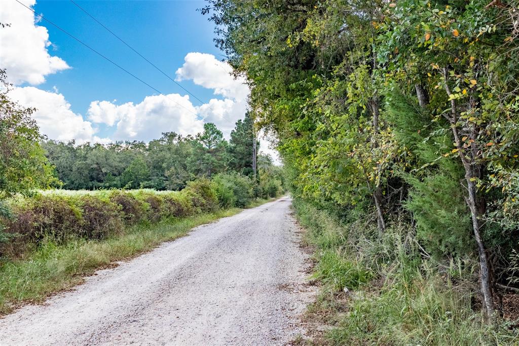 TBD County Road 309, Caldwell, Texas image 8