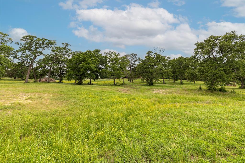 7680 Highway 36, Bellville, Texas image 31