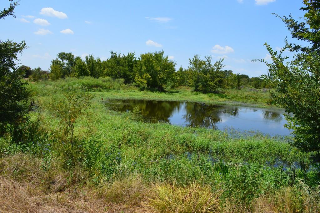 10698 Fm 1227, Navasota, Texas image 33
