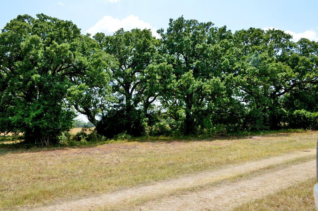 10698 Fm 1227, Navasota, Texas image 47