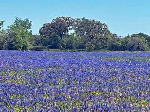 10698 FM 1227 Navasota TX 77868