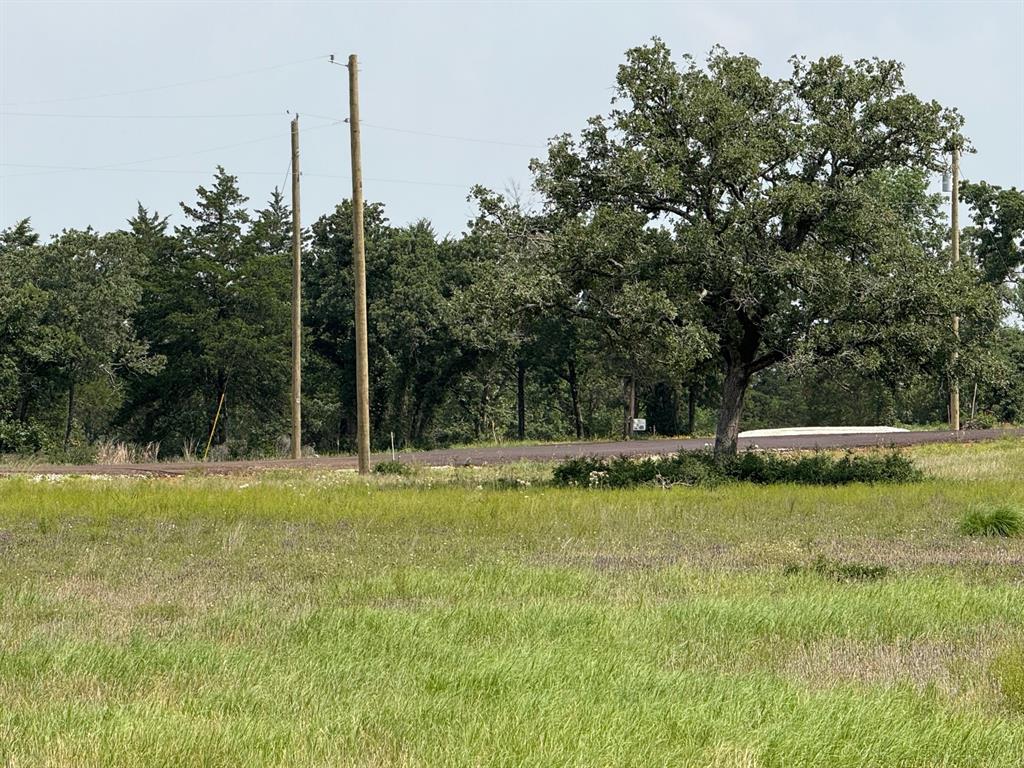 3803 Pr 4100, Marquez, Texas image 5