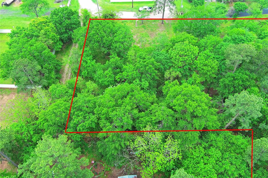 302 Smith Road, Magnolia, Texas image 17