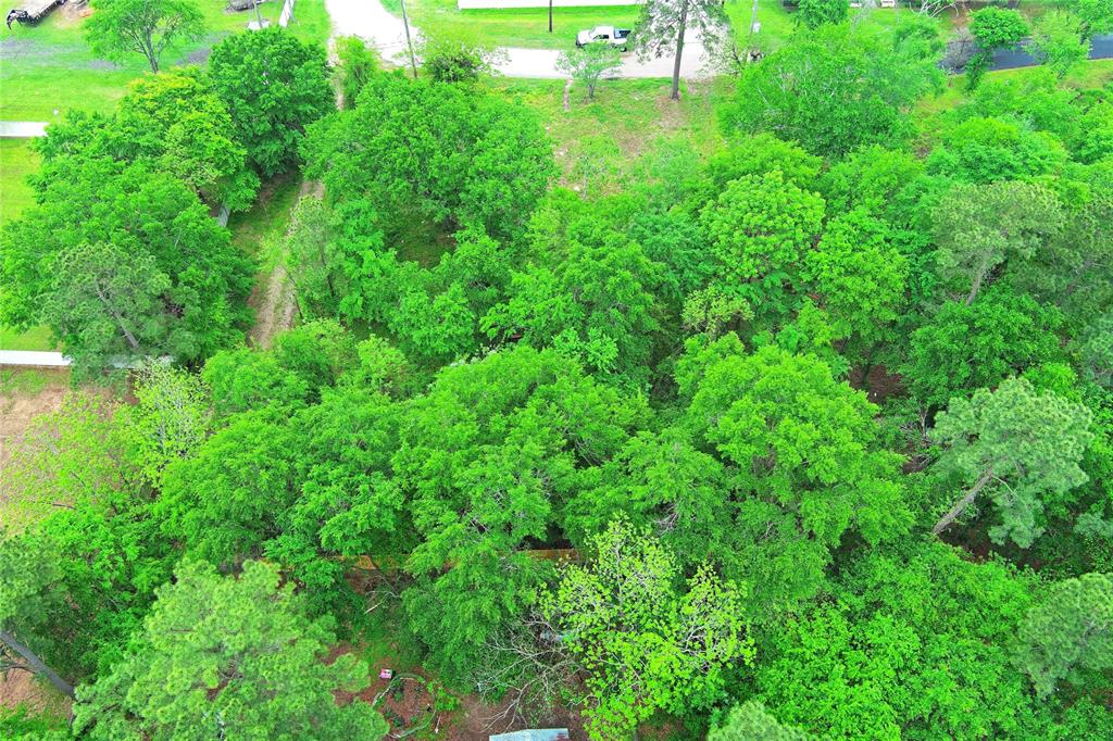 302 Smith Road, Magnolia, Texas image 16