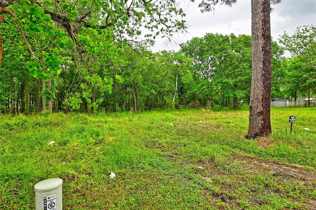302 Smith Road, Magnolia, Texas image 1